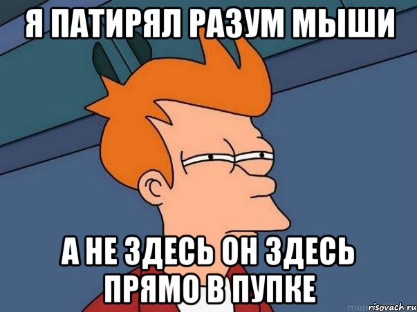 я патирял разум мыши а не здесь он здесь прямо в пупке, Мем  Фрай (мне кажется или)