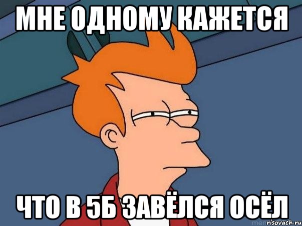 мне одному кажется что в 5б завёлся осёл, Мем  Фрай (мне кажется или)