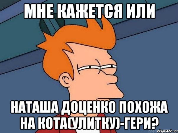 мне кажется или наташа доценко похожа на кота(улитку)-гери?, Мем  Фрай (мне кажется или)