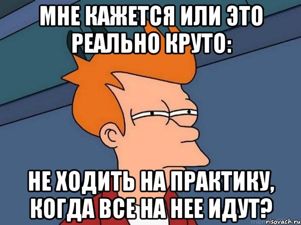 мне кажется или это реально круто: не ходить на практику, когда все на нее идут?, Мем  Фрай (мне кажется или)