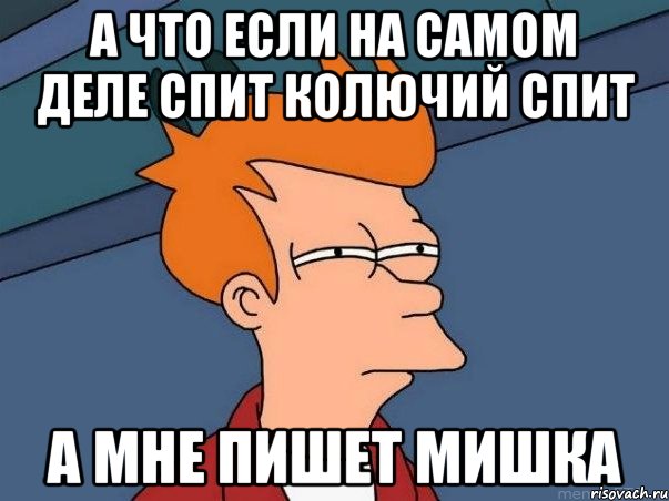 а что если на самом деле спит колючий спит а мне пишет мишка, Мем  Фрай (мне кажется или)