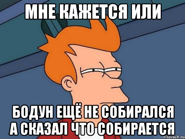 мне кажется или бодун ещё не собирался а сказал что собирается, Мем  Фрай (мне кажется или)