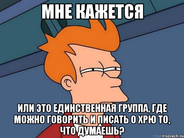 мне кажется или это единственная группа, где можно говорить и писать о хрю то, что думаешь?, Мем  Фрай (мне кажется или)