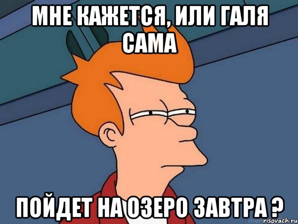 мне кажется, или галя сама пойдет на озеро завтра ?, Мем  Фрай (мне кажется или)