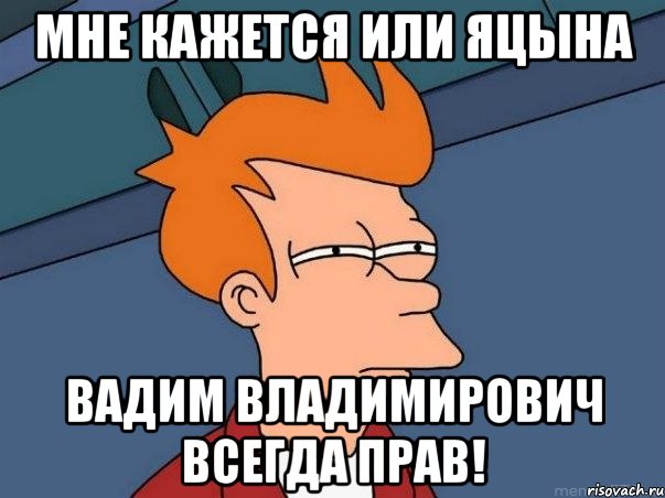 мне кажется или яцына вадим владимирович всегда прав!, Мем  Фрай (мне кажется или)