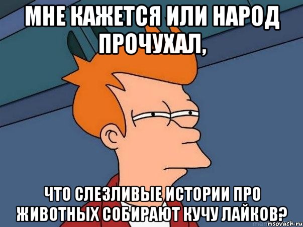 мне кажется или народ прочухал, что слезливые истории про животных собирают кучу лайков?, Мем  Фрай (мне кажется или)