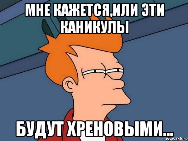 мне кажется,или эти каникулы будут хреновыми..., Мем  Фрай (мне кажется или)