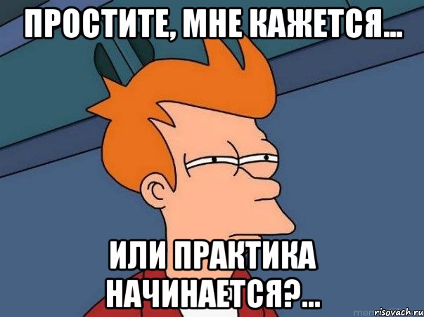 простите, мне кажется... или практика начинается?..., Мем  Фрай (мне кажется или)