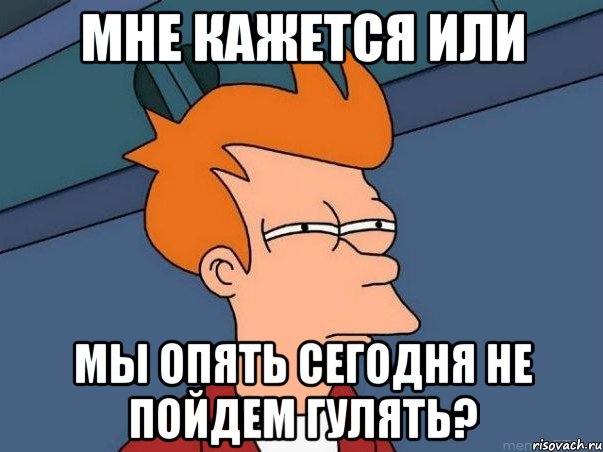 мне кажется или мы опять сегодня не пойдем гулять?, Мем  Фрай (мне кажется или)