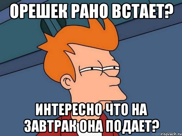 орешек рано встает? интересно что на завтрак она подает?, Мем  Фрай (мне кажется или)