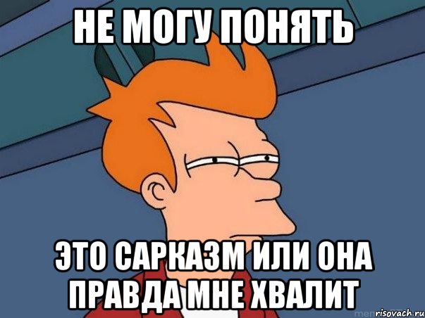 не могу понять это сарказм или она правда мне хвалит, Мем  Фрай (мне кажется или)