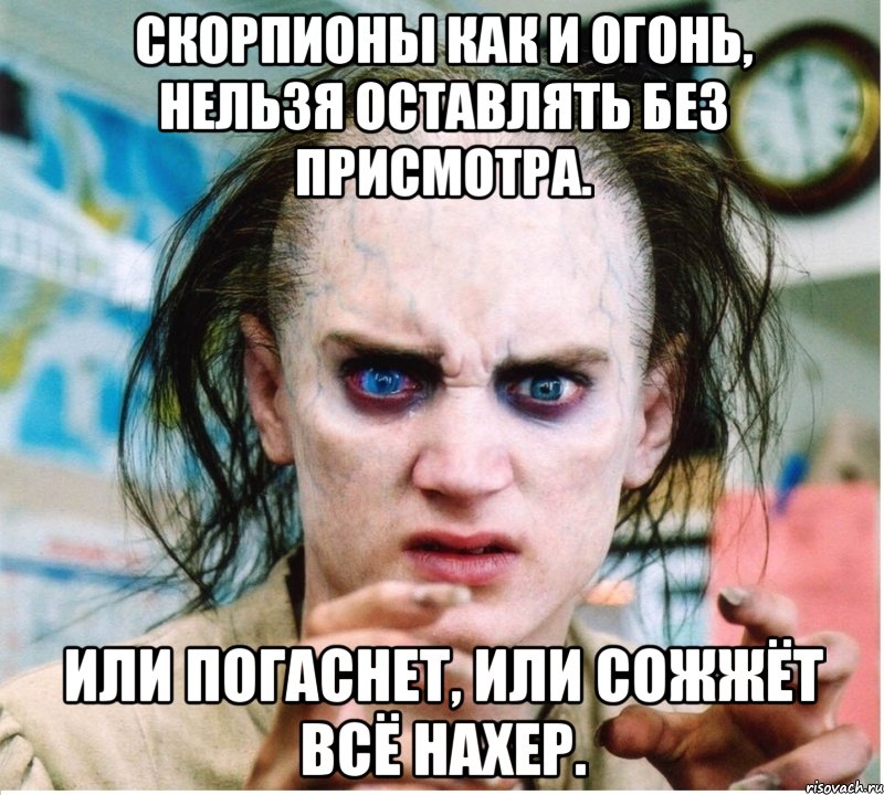 скорпионы как и огонь, нельзя оставлять без присмотра. или погаснет, или сожжёт всё нахер., Мем фродум