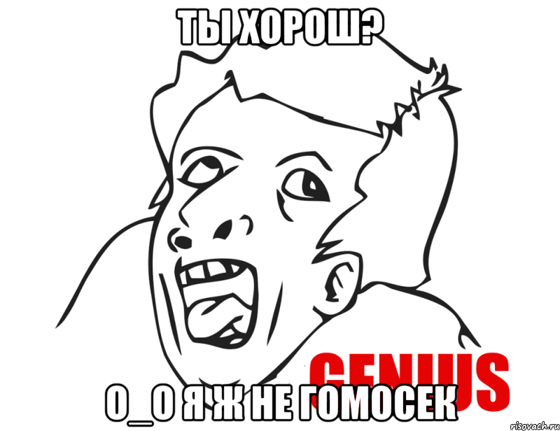 ты хорош? о_о я ж не гомосек, Мем  Genius