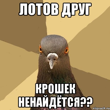 лотов друг крошек ненайдётся??, Мем голубь