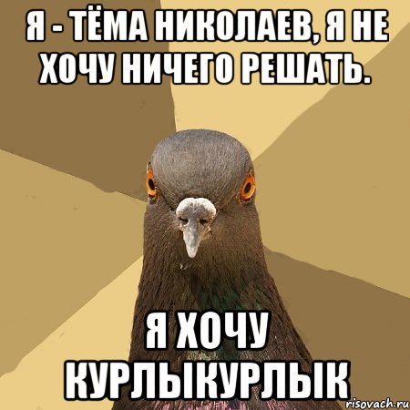 я - тёма николаев, я не хочу ничего решать. я хочу курлыкурлык, Мем голубь