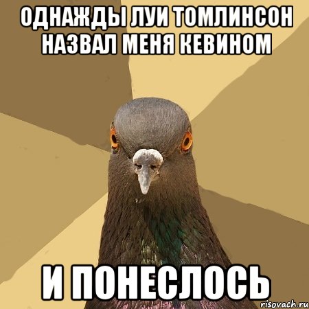 однажды луи томлинсон назвал меня кевином и понеслось, Мем голубь