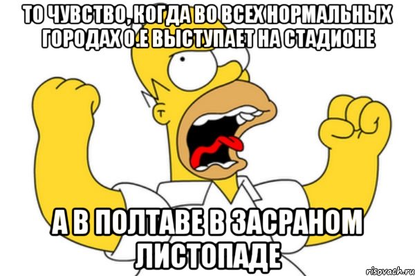 то чувство, когда во всех нормальных городах о.е выступает на стадионе а в полтаве в засраном листопаде