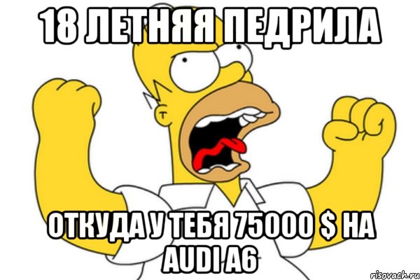 18 летняя педрила откуда у тебя 75000 $ на audi a6, Мем Разъяренный Гомер