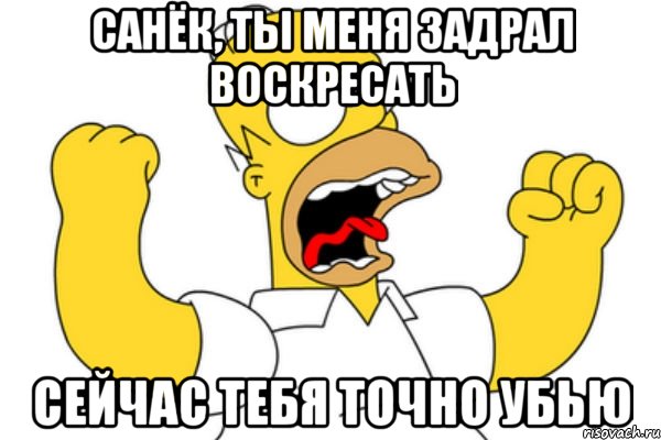 санёк, ты меня задрал воскресать сейчас тебя точно убью, Мем Разъяренный Гомер