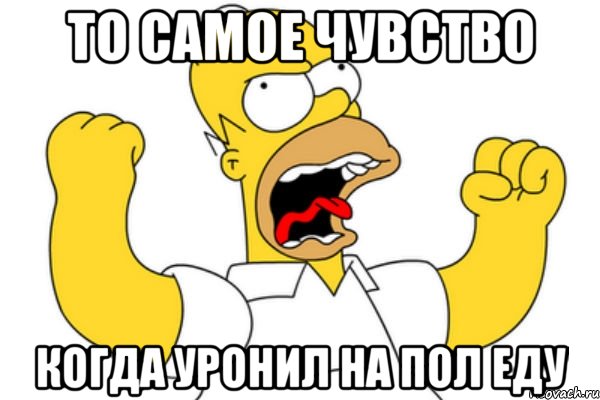 то самое чувство когда уронил на пол еду, Мем Разъяренный Гомер