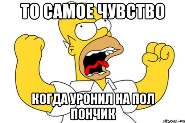 то самое чувство когда уронил на пол пончик, Мем Разъяренный Гомер