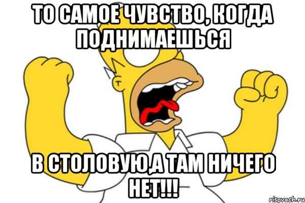 то самое чувство, когда поднимаешься в столовую,а там ничего нет!!!, Мем Разъяренный Гомер