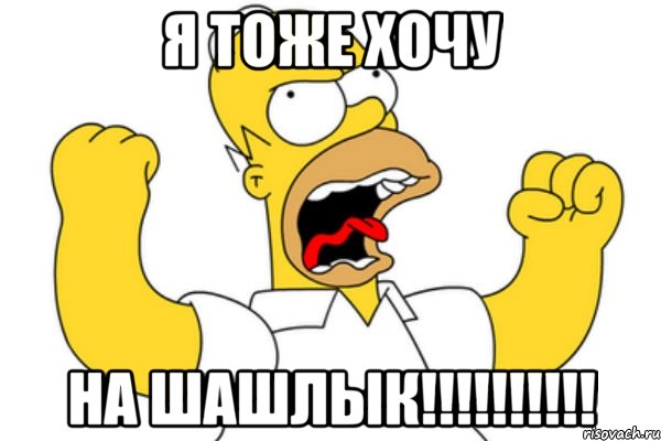 я тоже хочу на шашлык!!!