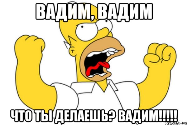 вадим, вадим что ты делаешь? вадим!!!, Мем Разъяренный Гомер