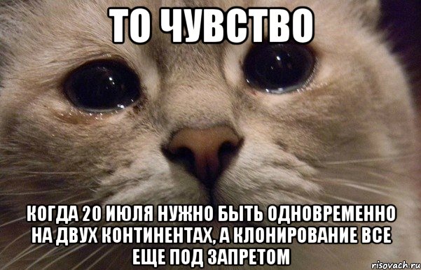 то чувство когда 20 июля нужно быть одновременно на двух континентах, а клонирование все еще под запретом, Мем   В мире грустит один котик