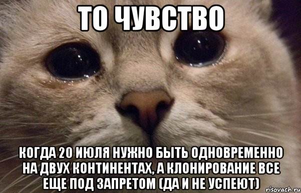 то чувство когда 20 июля нужно быть одновременно на двух континентах, а клонирование все еще под запретом (да и не успеют), Мем   В мире грустит один котик