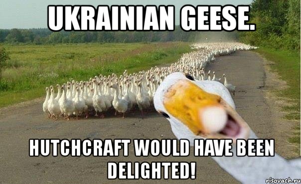 ukrainian geese. hutchcraft would have been delighted!, Мем гуси