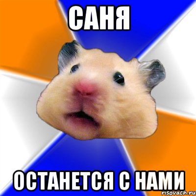 саня останется с нами, Мем Хомяк