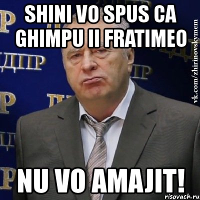 shini vo spus ca ghimpu ii fratimeo nu vo amajit!, Мем Хватит это терпеть (Жириновский)