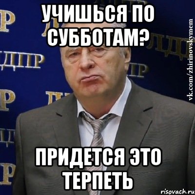 учишься по субботам? придется это терпеть, Мем Хватит это терпеть (Жириновский)