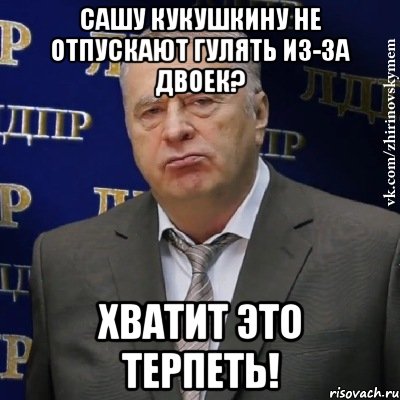 сашу кукушкину не отпускают гулять из-за двоек? хватит это терпеть!, Мем Хватит это терпеть (Жириновский)