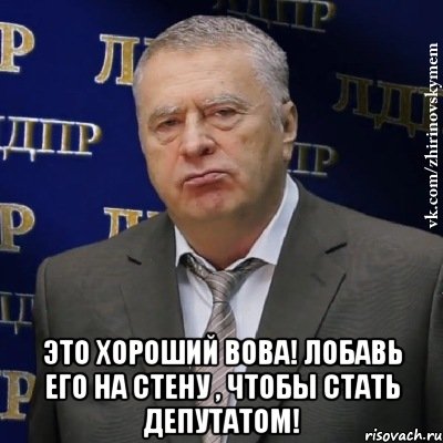  это хороший вова! лобавь его на стену , чтобы стать депутатом!, Мем Хватит это терпеть (Жириновский)