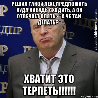 решил такой лехе предложить куда нибудь сходить, а он отвечает опять - "а че там делать?" хватит это терпеть!!!, Мем Хватит это терпеть (Жириновский)