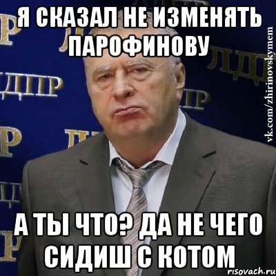 я сказал не изменять парофинову а ты что? да не чего сидиш с котом, Мем Хватит это терпеть (Жириновский)