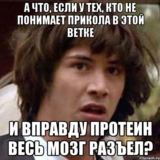 а что, если у тех, кто не понимает прикола в этой ветке и вправду протеин весь мозг разъел?, Мем А что если (Киану Ривз)