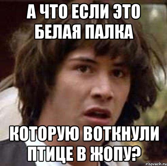 а что если это белая палка которую воткнули птице в жопу?, Мем А что если (Киану Ривз)