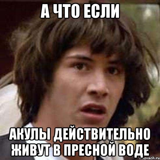 а что если акулы действительно живут в пресной воде, Мем А что если (Киану Ривз)