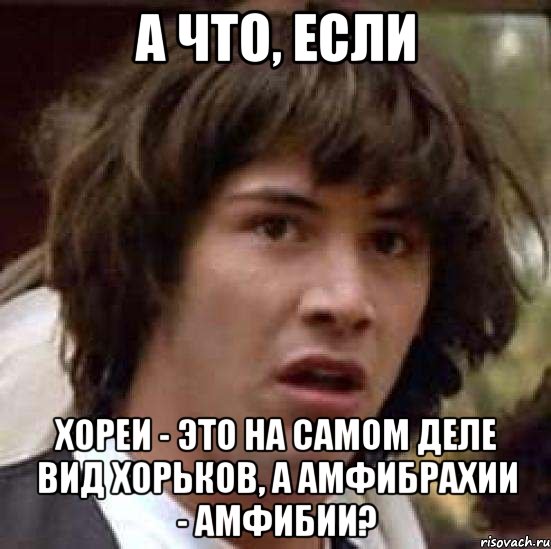 а что, если хореи - это на самом деле вид хорьков, а амфибрахии - амфибии?, Мем А что если (Киану Ривз)