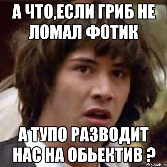 а что,если гриб не ломал фотик а тупо разводит нас на обьектив ?, Мем А что если (Киану Ривз)