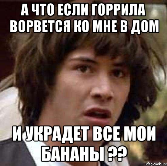 а что если горрила ворвется ко мне в дом и украдет все мои бананы ??, Мем А что если (Киану Ривз)