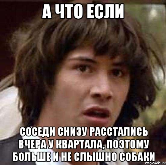 а что если соседи снизу расстались вчера у квартала, поэтому больше и не слышно собаки, Мем А что если (Киану Ривз)