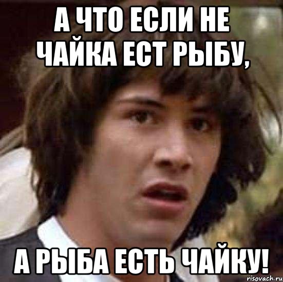 а что если не чайка ест рыбу, а рыба есть чайку!, Мем А что если (Киану Ривз)