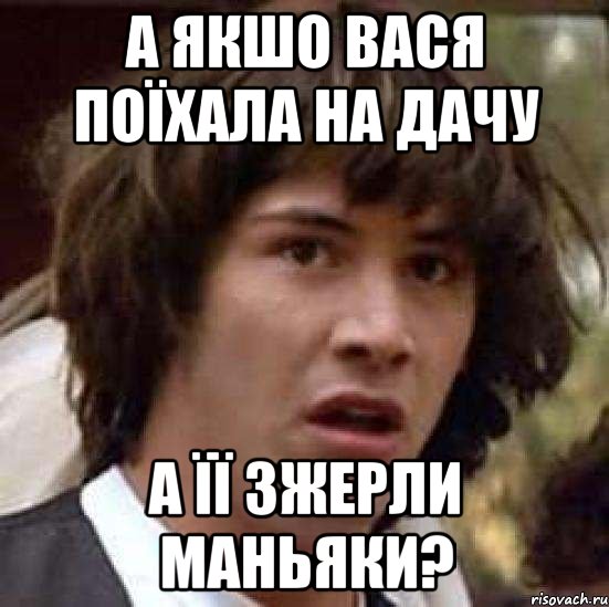 а якшо вася поїхала на дачу а її зжерли маньяки?, Мем А что если (Киану Ривз)