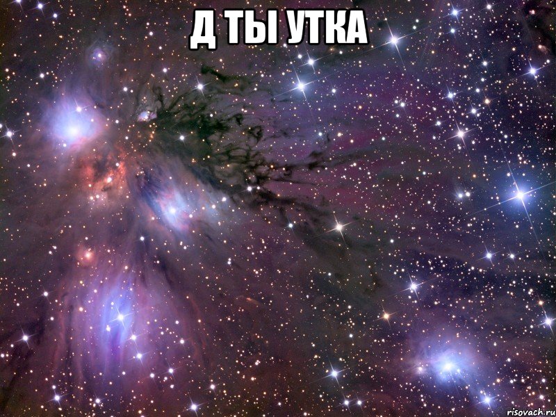 д ты утка , Мем Космос