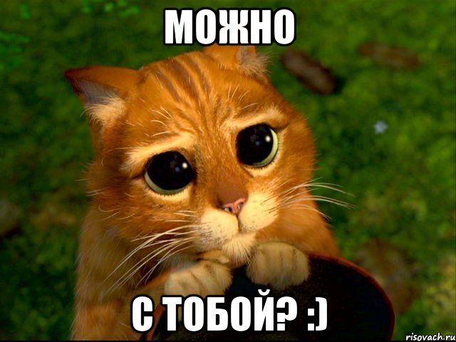 можно с тобой? :), Мем кот из шрека