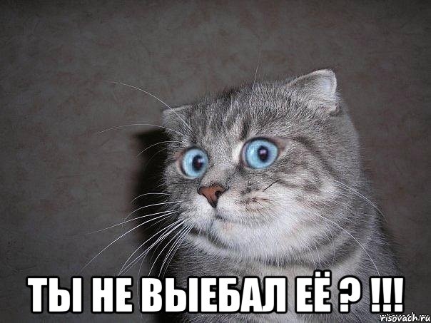  ты не выебал её ? !!!